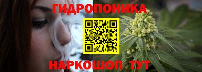 сатива Дубна