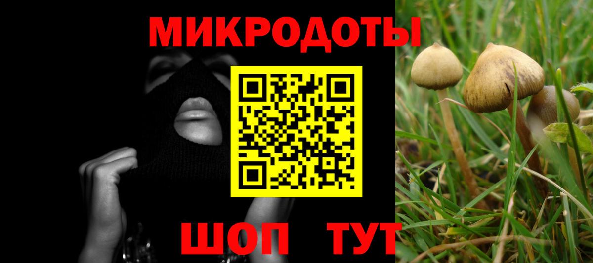 Назрань  Псилоцибиновые грибы Magic Shrooms  купить наркоту  Галлюциногенные грибы MAGIC MUSHROOMS  Вход с VPN 
